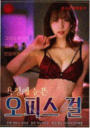 韩国经典爱情剧 冬日恋歌 海报
