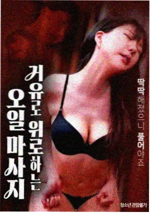 韩国动作电影 逆光追踪 海报